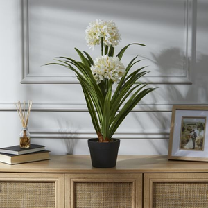 Artificial African Lily Flowers 70cm 
