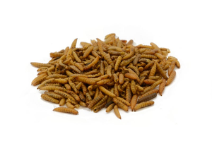 Dried Calci Worms 750g