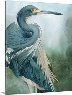 Bayou King I