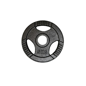 Tri Grip Iron Weight Plates - 2.5 KG