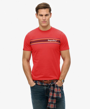 Lässiges Venue T-Shirt mit Streifen und Logo