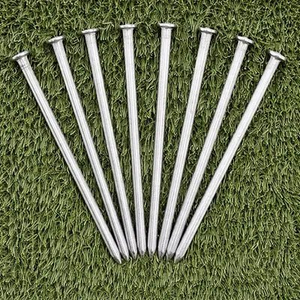 Artificial Grass 6" Fixing Nails x 50
