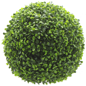 Boxwood Yellow Topiary Ball