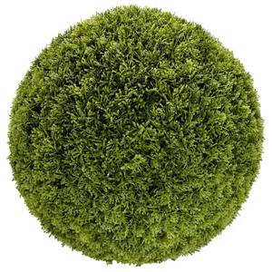 Cypressus Topiary Ball