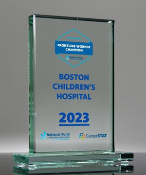 Optimist Jade Glass Rectangle Award - UV Printed