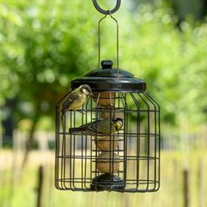Brussels Guardian Caged Fat Ball Feeder