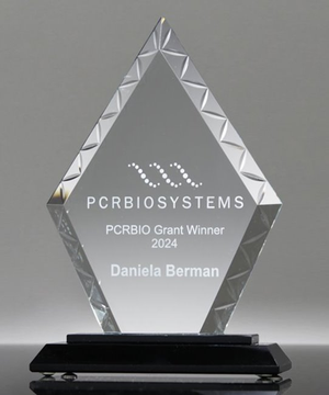 Accent Diamond Glass Award