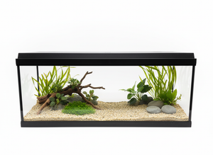 AquaTopia Flo 90 in Black - 90 Litres