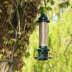Squirrel Buster PLUS Seed Feeder 3l
