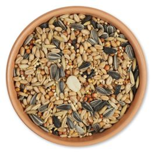 Traditional Seed Mix