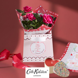 Cath Kidston Cerise Rose  Gift Bag & Cath Kidston Heart Tin Candle