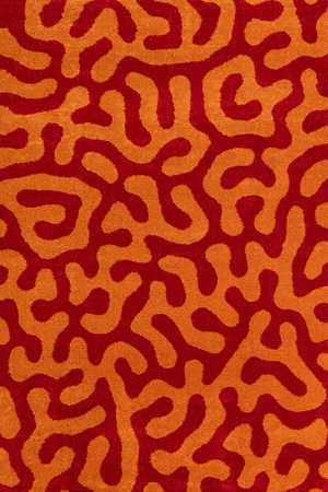 Joli Doodle Red & Orange Rug