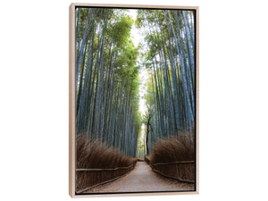 Arashiyama Bamboo Grove, Kyoto, Japan