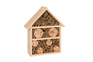 Large Insect House