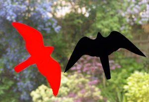 Hawk Silhouette Window Alerts 2 Pack