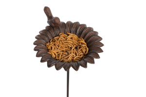 Old Iron Sunflower Feeder