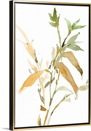 Stems I