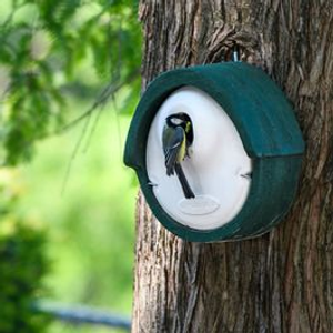WoodStone Alicante Nest Box 32mm Oval Hole - Green