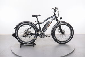 Rad Power Bikes RadRover 5
