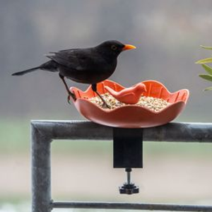 Balus Balcony Bird Feeding Dish - Terracotta