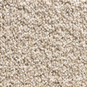 Chelsea - Beige - Action Backed - Carpet Sample