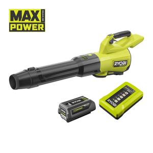 36V MAX POWER Cordless Brushless Whisper Leaf Blower (1 x 4.0ah)