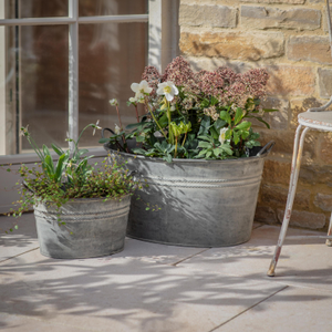 Hawthorn Set of 2 Heritage Wash Tub Planters