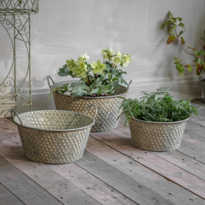 Hawthorn Set of 3 Honeycomb Planters