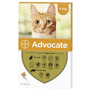 Advocate Spot-On Solution for Small Cats & Ferrets - Pack Size : 6 Pipettes