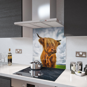 Glass Splashback With Fixing Holes in Highland Cow - 60cm Wide x 80cm High