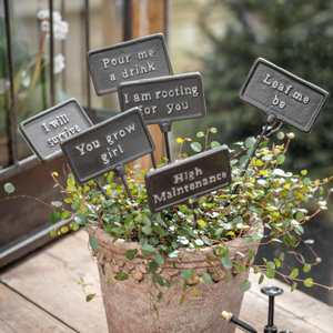 Highridge Set of 6 Playful Plant Signs