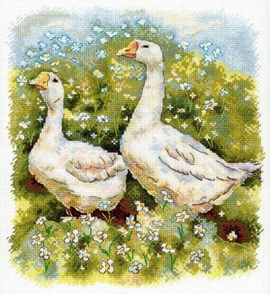 Geese on a walk