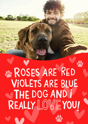 Roses Are Red Violets Are Blue Photo Upload Valentine's Day Card