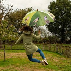 Garden Birds Umbrella