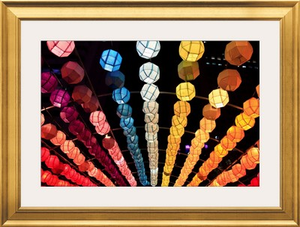 Lotus lanterns