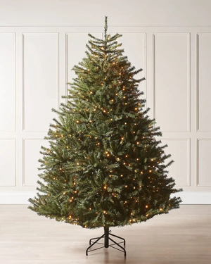 Pre-Lit Foxtail Pine Christmas Tree, 7 ft