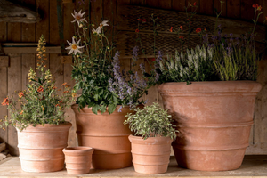 Terracotta Florentine Round Pot - 200 Dia. x 170 (H)mm
