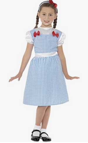 Country Girl Costume