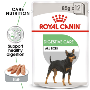 Royal Canin Digestive Care Wet Dog Food Pouches - Pack Size : 12 x 85g