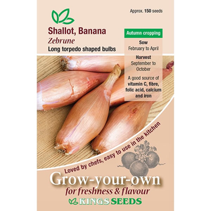 Shallot <i>Zebrune</i>