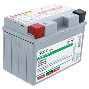 CUB CADET 490-280-F017 12-Volt AGM Battery 210 CCA