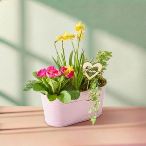 Mixed Planter with Mum Pick