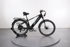 Lectric XPress 750
