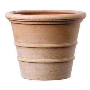 Vaso Siena