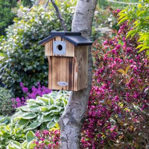 Protector Galveston Nest Box 32mm