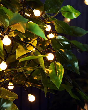 100 Berry LED Light String, Warm White, 10 m