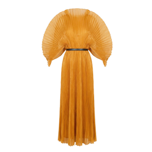 Pleated Long Dress With Organza Pleated Cape Sleeves In Gold (one size)