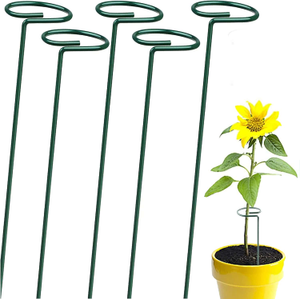 Single Stem Metal Plant Supports - 45cm, 50