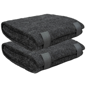 AIRx Replacement Carbon Pre-filter for Honeywell / Kenmore / Norelco / Sunbeam 38002, 2-Pack