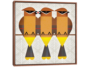Cedar Waxwings